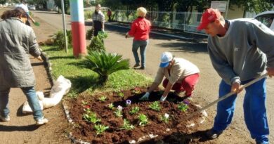 Servidores se mobilizam para o plantio de mais de 4000 mudas de flores nos canteiros de Mondaí