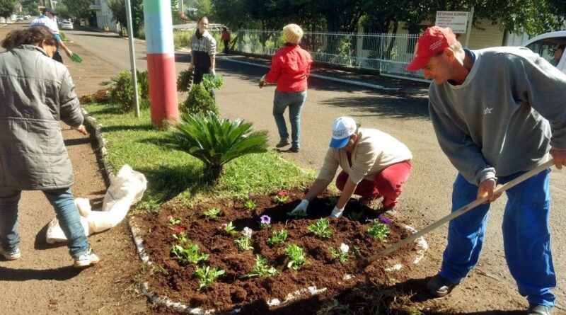 Servidores se mobilizam para o plantio de mais de 4000 mudas de flores nos canteiros de Mondaí