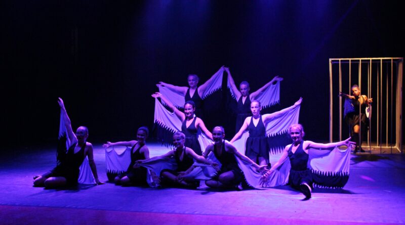 Mondaí é representado na etapa Microrregional do Festival Escolar “Dança Catarina”