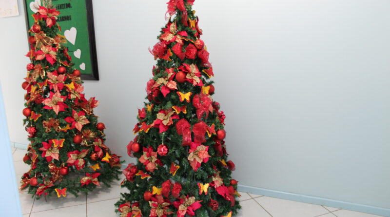 Governo de Mondaí inicia decorações de Natal