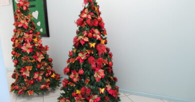 Governo de Mondaí inicia decorações de Natal